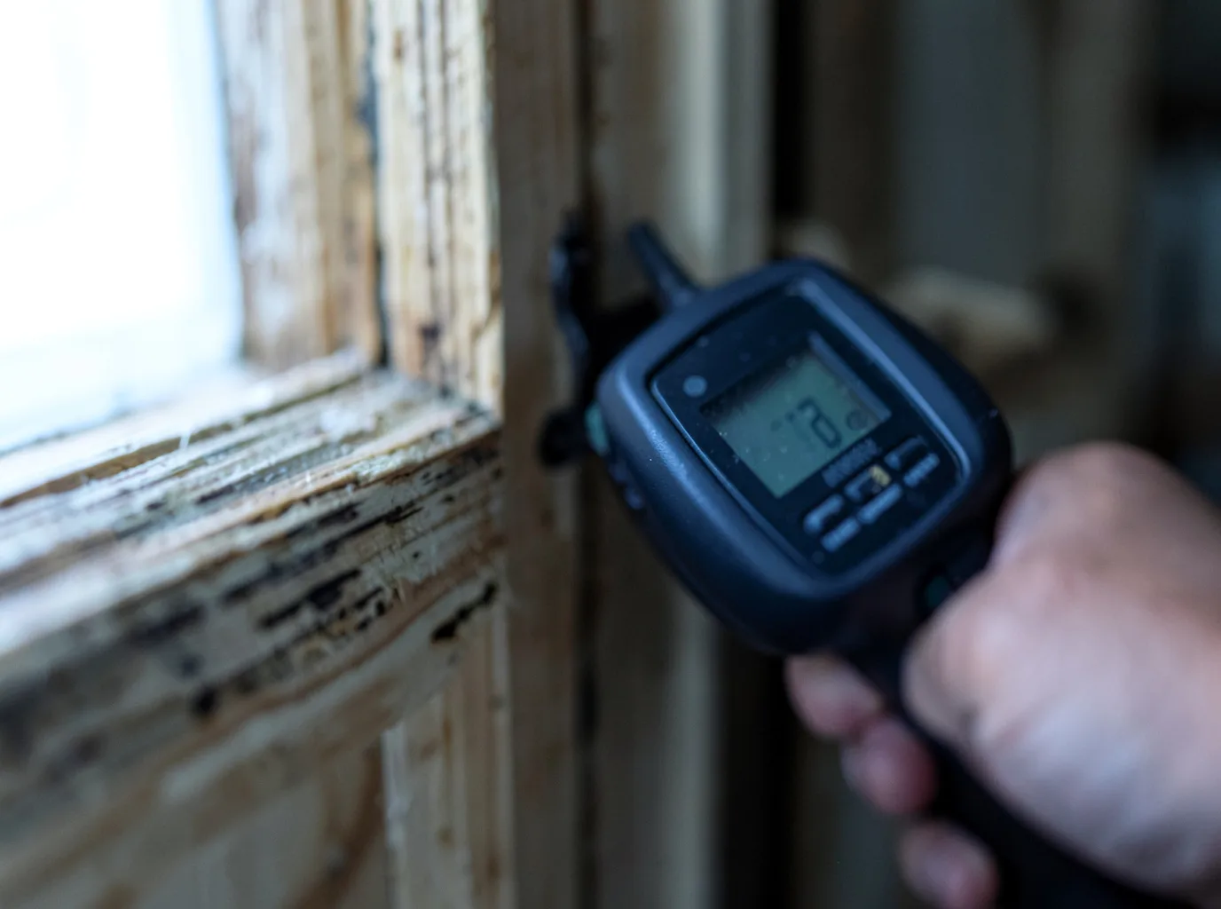 Moisture Inspection And Documentation in Camp Meeker, CA